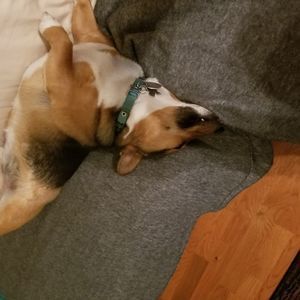 Meet your Posher, Bryant